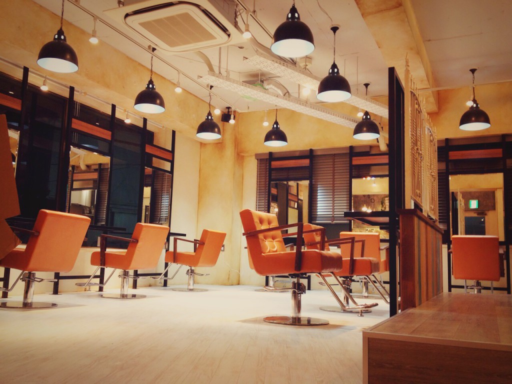 Agu Hair Novel Puzzle